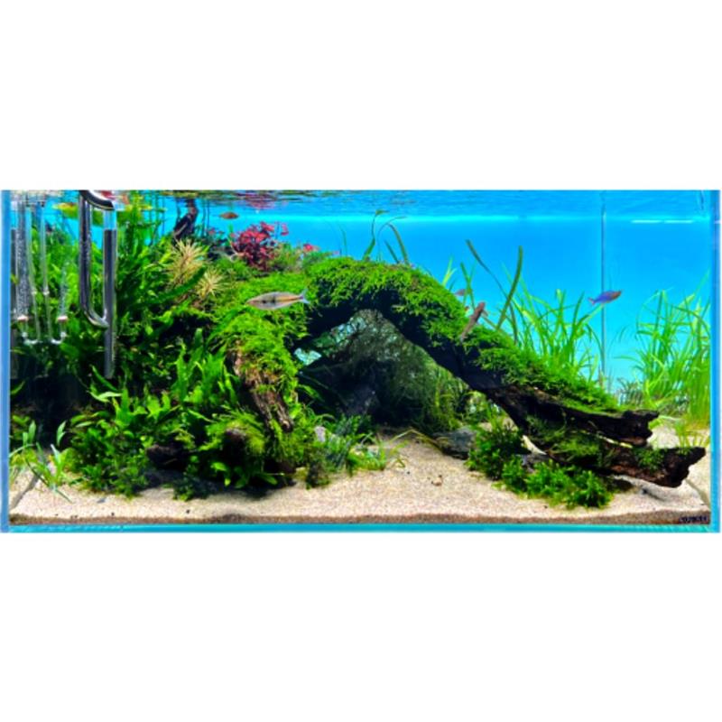 Background iluminiat LED DIVERSA BACKLIGHT RGB 90x45 cm - imagine 4